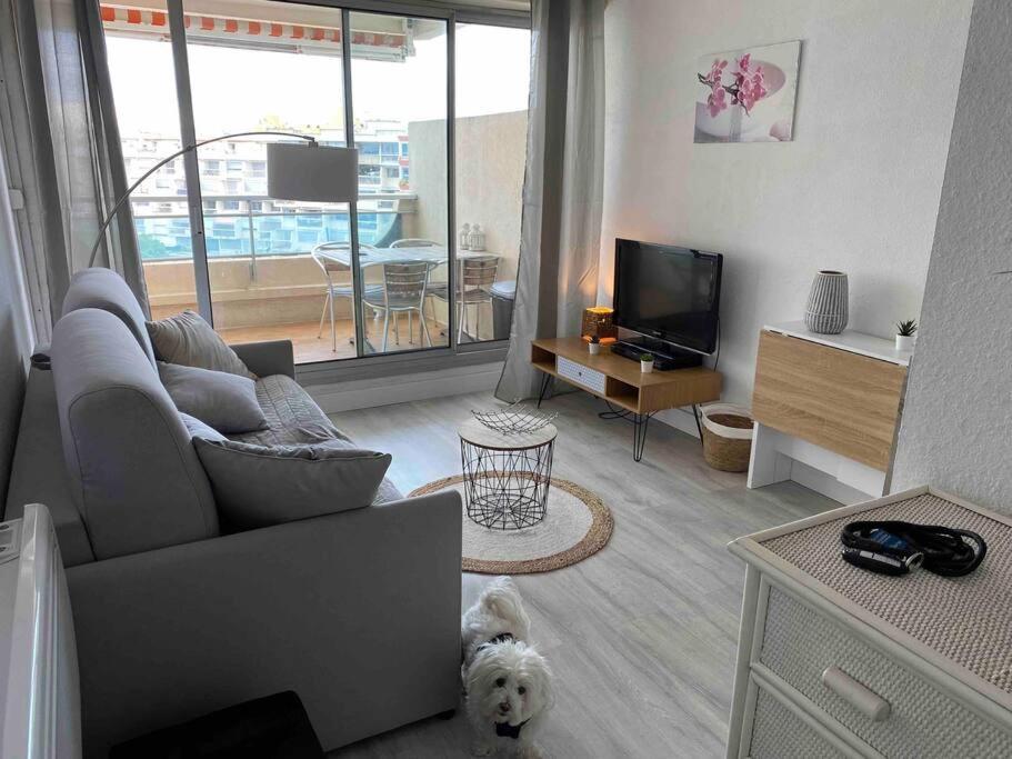 Joli Studio Vue Mer Et Port Могио Екстериор снимка